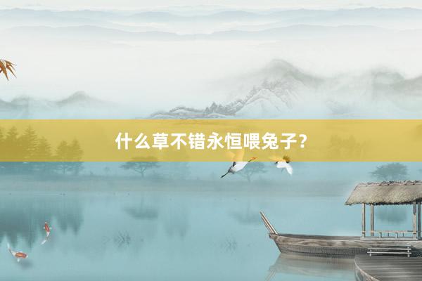 什么草不错永恒喂兔子?